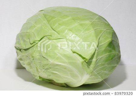 cabbage cabbage 83970320