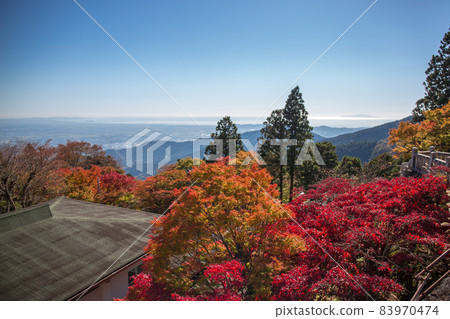 Oyama Akutoshi Shrine 83970474