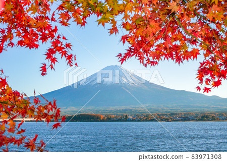 Autumn leaves and Mt. Fuji from Lake Kawaguchiko, Yamanashi Prefecture 83971308