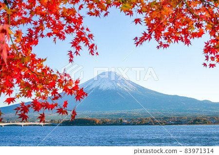 Autumn leaves and Mt. Fuji from Lake Kawaguchiko, Yamanashi Prefecture Autumn leaves and Mt. Fuji from Lake Kawaguchiko, Yamanashi Prefecture 83971314