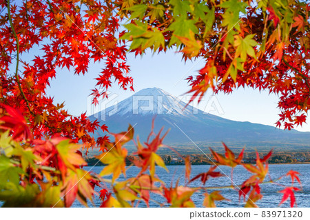 Autumn leaves and Mt. Fuji from Lake Kawaguchiko, Yamanashi Prefecture 83971320