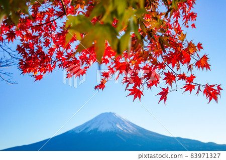 Autumn leaves and Mt. Fuji from Lake Kawaguchiko, Yamanashi Prefecture 83971327
