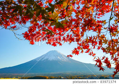 富士山和山梨縣河口湖的秋葉 83971374