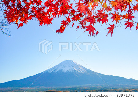 富士山和山梨縣河口湖的秋葉 83971375