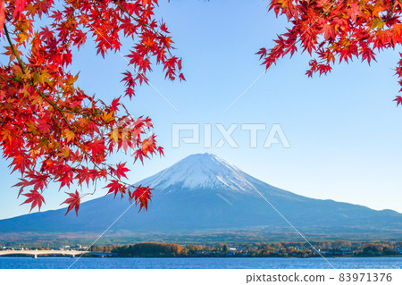 Mt. Fuji and autumn leaves from Lake Kawaguchiko, Yamanashi Prefecture 83971376