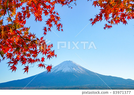 Mt. Fuji and autumn leaves from Lake Kawaguchiko, Yamanashi Prefecture Mt. Fuji and autumn leaves from Lake Kawaguchiko, Yamanashi Prefecture 83971377