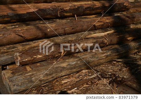 Processed and stacked logs Processed and stacked logs 83971379