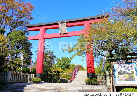 Kameido Tenjin Chrysanthemum Festival 2021 3-6-1 Kameido, Koto-ku, Tokyo 83971427