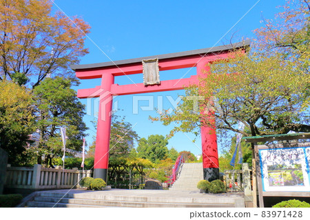 Kameido Tenjin Chrysanthemum Festival 2021 3-6-1 Kameido, Koto-ku, Tokyo 83971428