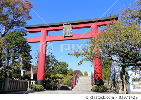 龜戶天神菊花節 2021 東京都江東區龜戶 3-6-1 83971429