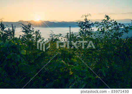 池田町廣津的雲海日出【秋季】 83971430