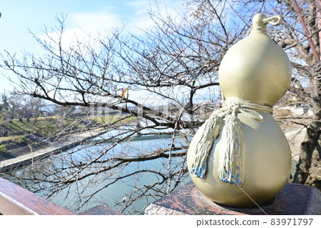 Golden Sensei gourd in front of the castle Golden Sensei gourd in front of the castle 83971797