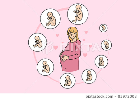 Pregnant woman with embryo development stages Pregnant woman with embryo development stages 83972008