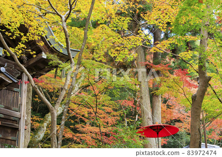 Arima Onsen-Zuihoji Town Park Autumn Leaves 83972474