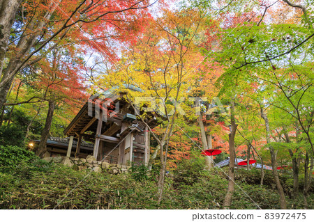 Arima Onsen-Zuihoji Town Park Autumn Leaves 83972475