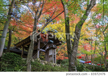 Arima Onsen-Zuihoji Town Park Autumn Leaves 83972476
