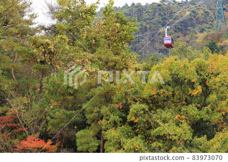 Rokko Arima Ropeway in full bloom of autumn colors 83973070