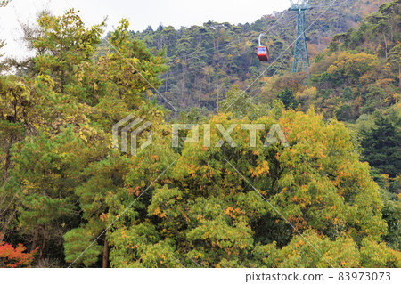 Rokko Arima Ropeway in full bloom of autumn colors 83973073
