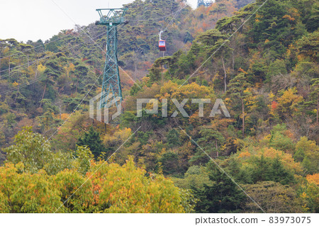 Rokko Arima Ropeway in full bloom of autumn colors 83973075