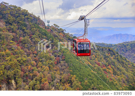 盛開秋色的六甲有馬索道 盛開秋色的六甲有馬索道 83973093