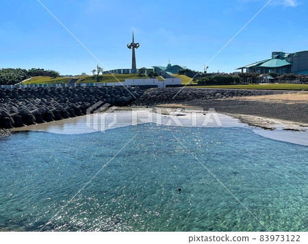 覆蓋沖繩海灘的浮石 覆蓋沖繩海灘的浮石 83973122