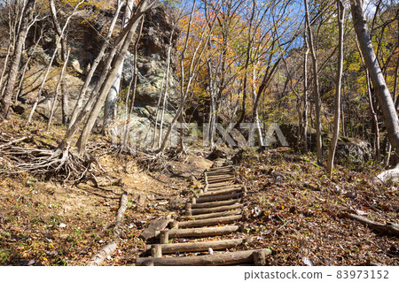 Mt. Myogi Scenery of the mountain trail from Nakanotake Shrine to the viewing platform 83973152