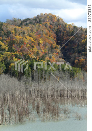 Autumn Shuparo Lake Shuparo Dam Yubari River Yubari Kashima District Yubari 83973581