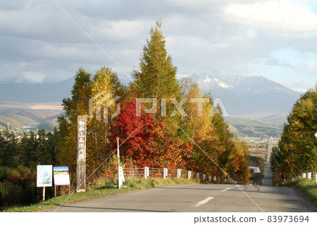 Kamifura no Hakkei Panorama Road Ehana Kamifurano Kamifurano 83973694