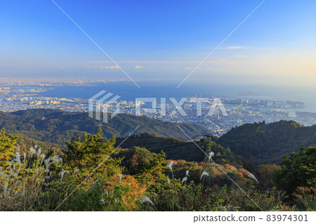 從六甲花園露台欣賞秋葉和大阪神戶 83974301