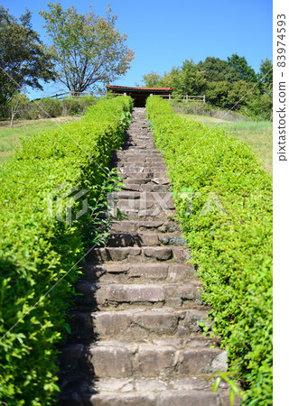 廣島縣東廣島市生魚之森公園 83974593