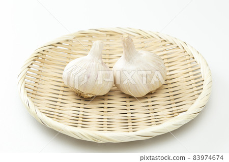 大蒜白背 大蒜白背 83974674