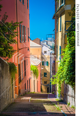 Stairway between multicolored buildings with colorful walls and green plants on narrow street 83974742