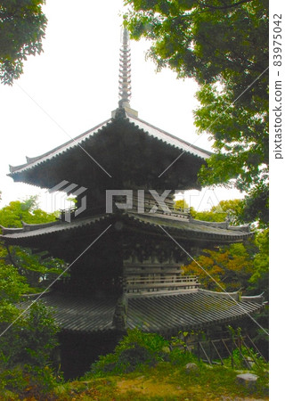Rumi-ji Mie Pagoda (Azuchi Castle / Middle / Shimotoyoura, Azuchi-cho, Omihachiman City, Shiga Prefecture) 83975042