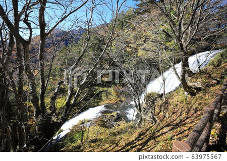 Yudaki, autumn leaves in Oku-Nikko, Tochigi Prefecture 83975567