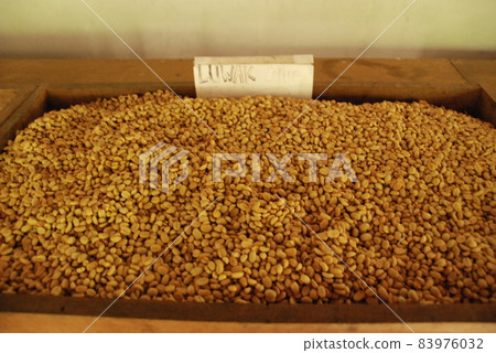 Raw beans from Bali coffee (Bali / Indonesia) 83976032