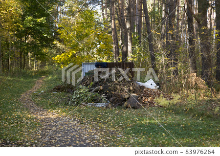 Greenery metal containers for collecting garbage in the forest. Waste collection and ecology. 83976264