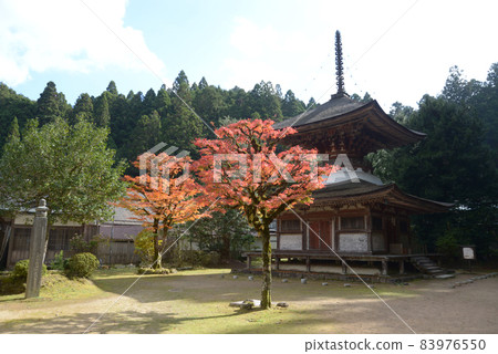 Koyasan Kongobuji Temple Kongobuji Temple Wakayama Prefecture 83976550