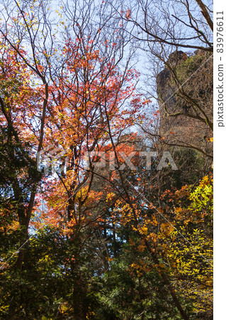 妙義山中之武神社院內的紅葉 妙義山中之武神社院內的紅葉 83976611