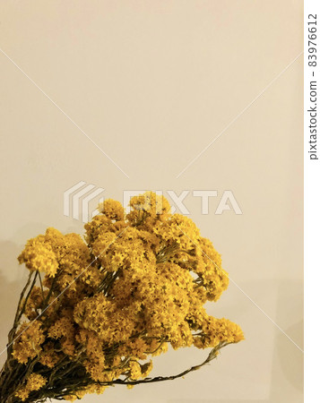 Rhodanze yellow 83976612