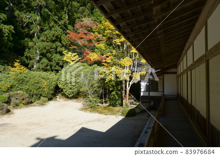 高野山金剛峰寺秋葉庭院和歌山縣 高野山金剛峰寺秋葉庭院和歌山縣 83976684
