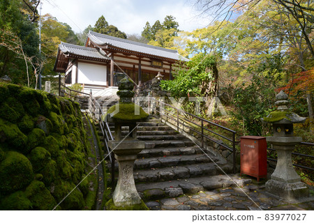 秋天的長谷寺,奈良縣櫻井市長谷寺 秋天的長谷寺,奈良縣櫻井市長谷寺 83977027