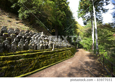 秋天的長谷寺,奈良縣櫻井市長谷市達拉南道的石佛 秋天的長谷寺,奈良縣櫻井市長谷市達拉南道的石佛 83977031