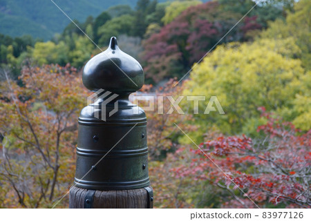 秋季長谷寺:奈良縣櫻井市長谷主殿舞台上的偽寶和秋葉 秋季長谷寺:奈良縣櫻井市長谷主殿舞台上的偽寶和秋葉 83977126