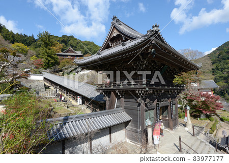 Autumn Hase Temple Niomon Hatsuse, Sakurai City, Nara Prefecture Autumn Hase Temple Niomon Hatsuse, Sakurai City, Nara Prefecture 83977177