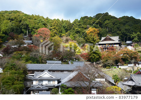 奈良縣櫻井市長谷市秋葉山內的長谷寺 83977179