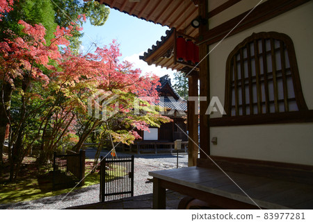 京都市左京區,從關山善忍地藏堂眺望大殿 京都市左京區,從關山善忍地藏堂眺望大殿 83977281