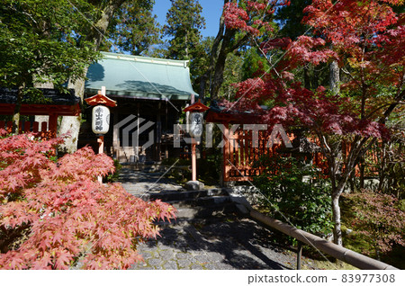 京都市左京區關山禪院本堂 83977308