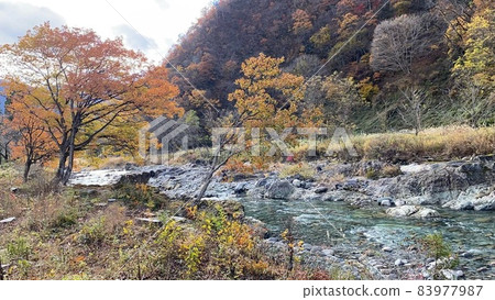 River flow River flow 83977987