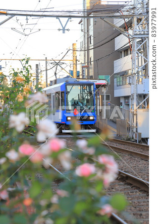 都電荒川線荒川車庫前 都電荒川線荒川車庫前 83977991