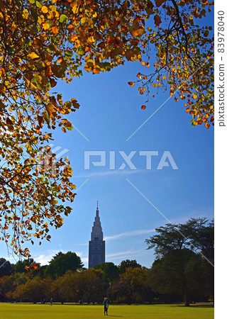 Fall scenery Fall scenery 83978040